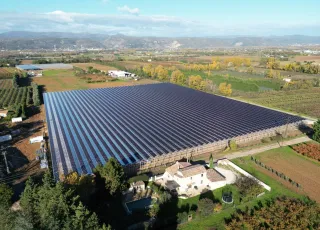 kiwi agrivoltaics