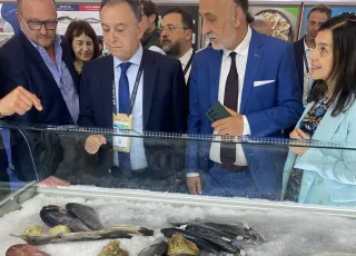 Κέλλας