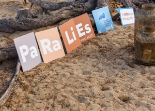 avin paralies