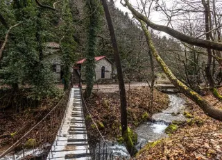 pavliani