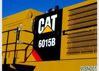 Caterpillar