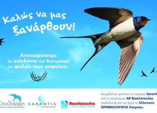 Sarantis_AB_Ορνιθολογική 