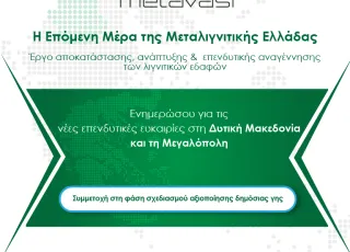 metavasi