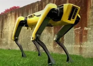 robo-dog