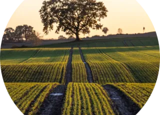 Carbon_Farming_Circular_Bioeconomy