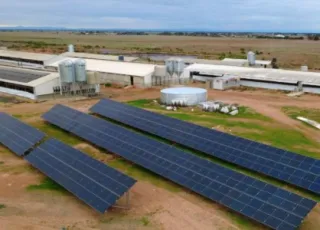 φάρμα χοίρων