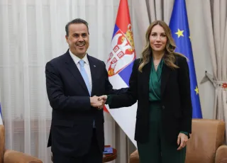 Dubravka Đedović Handanović papastavrou