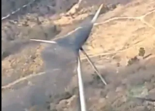 fotia anemogennitria south korea.