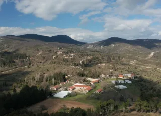 tatoi