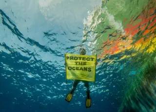 Tomás Munita_Greenpeace