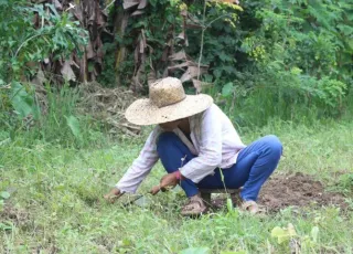 αγρότης Φιλιππίνες
