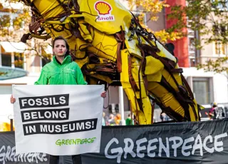 ©Marten van Dijl_Greenpeace.