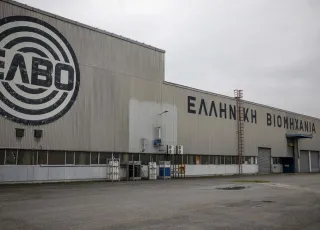elbo