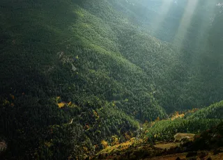 natura