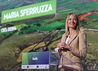 sferruzza desfa.