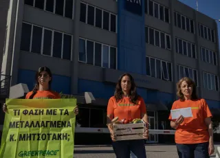© Constantinos Stathias_Greenpeace