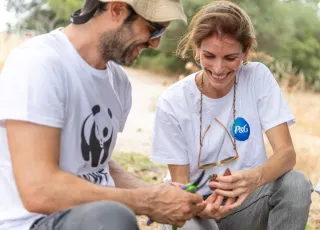 procter and wwf