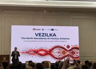 vezilka.