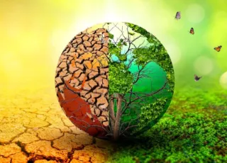 biodiversity