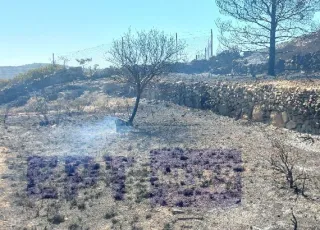 chios-mesta