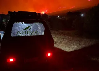 ANIMA