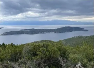 trikeri