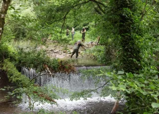 Δειγματοληψίες ψαριών και ασπονδύλων ανάντητου παρωχημένου φράγματος στο Βαθύρεμα Ευρώτα. (έργο ReFlow) – © Γ. Γκουνέζος, MedINA.